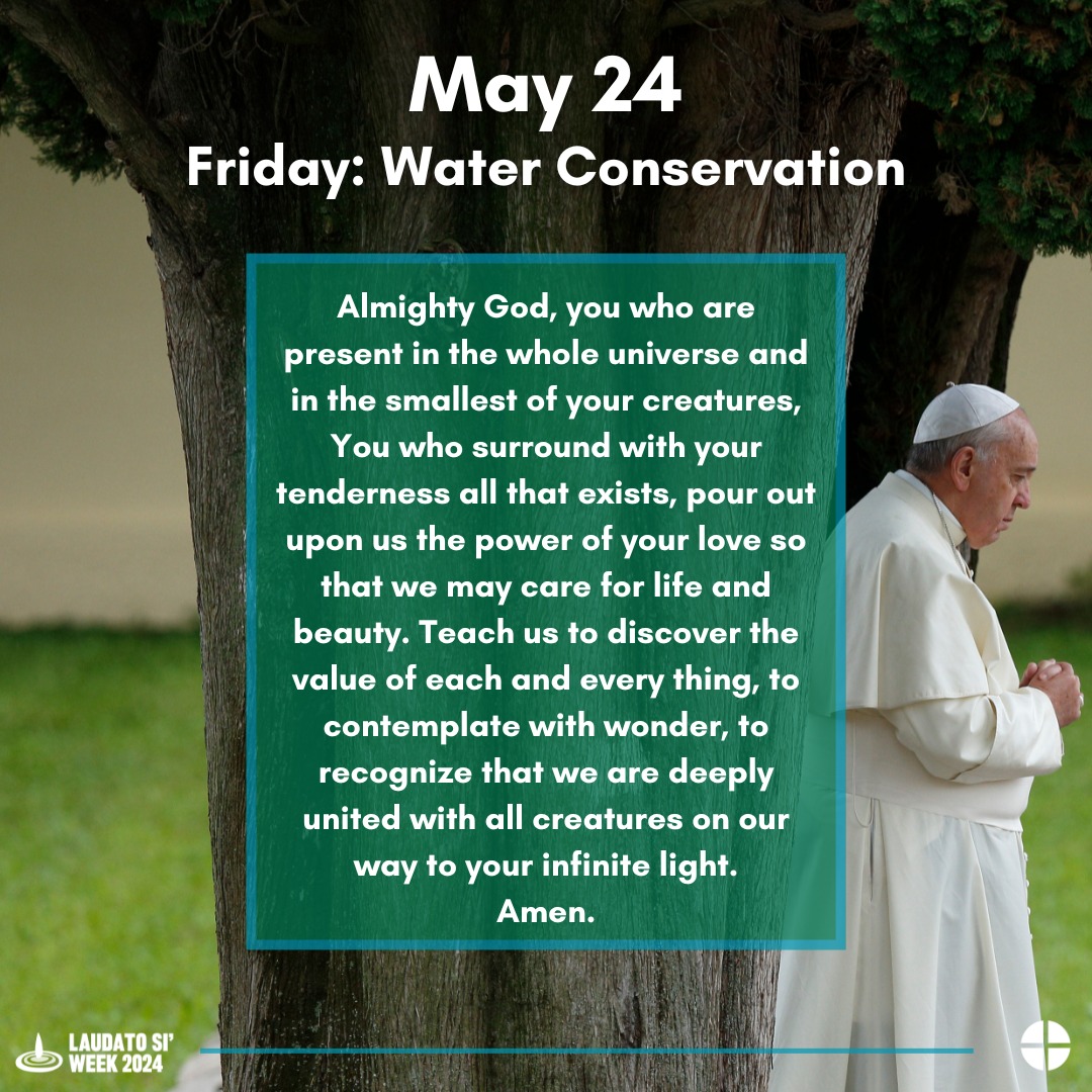 The earth is the Lord's and the fullness thereof, the world and those who dwell therein, for he has founded it upon the seas and established it upon the rivers.  Psalm 24:1-2  #LaudatoSiWeek2024