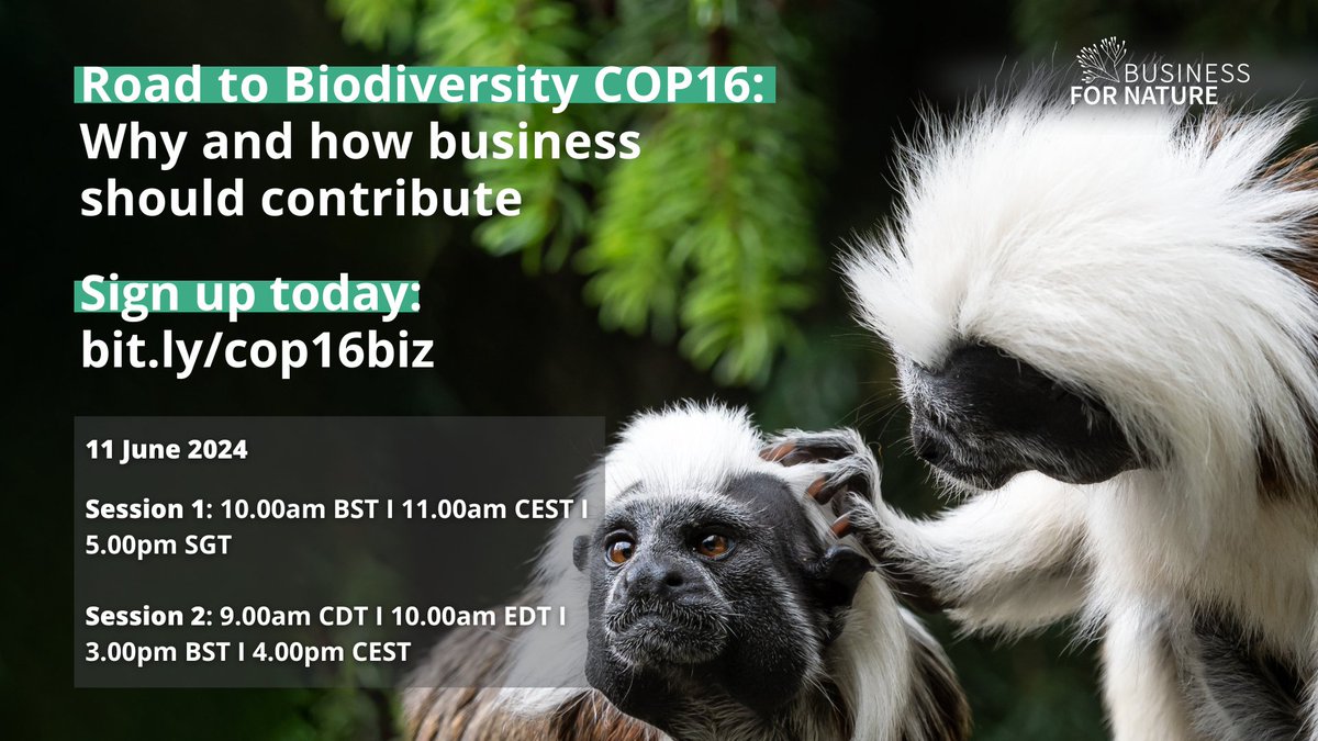 🇨🇴 🍃As we gear up to the @UNBiodiversity #COP16 in Colombia, we will be hosting an open global webinar. 🗓️ 11 June There will be two sessions taking place 👇 Find out more and sign up here: bit.ly/cop16biz