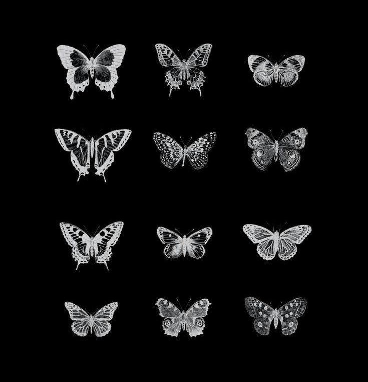 artmschedule's tweet photo. 10. Butterfly Effect https://t.co/UthDdrHglz