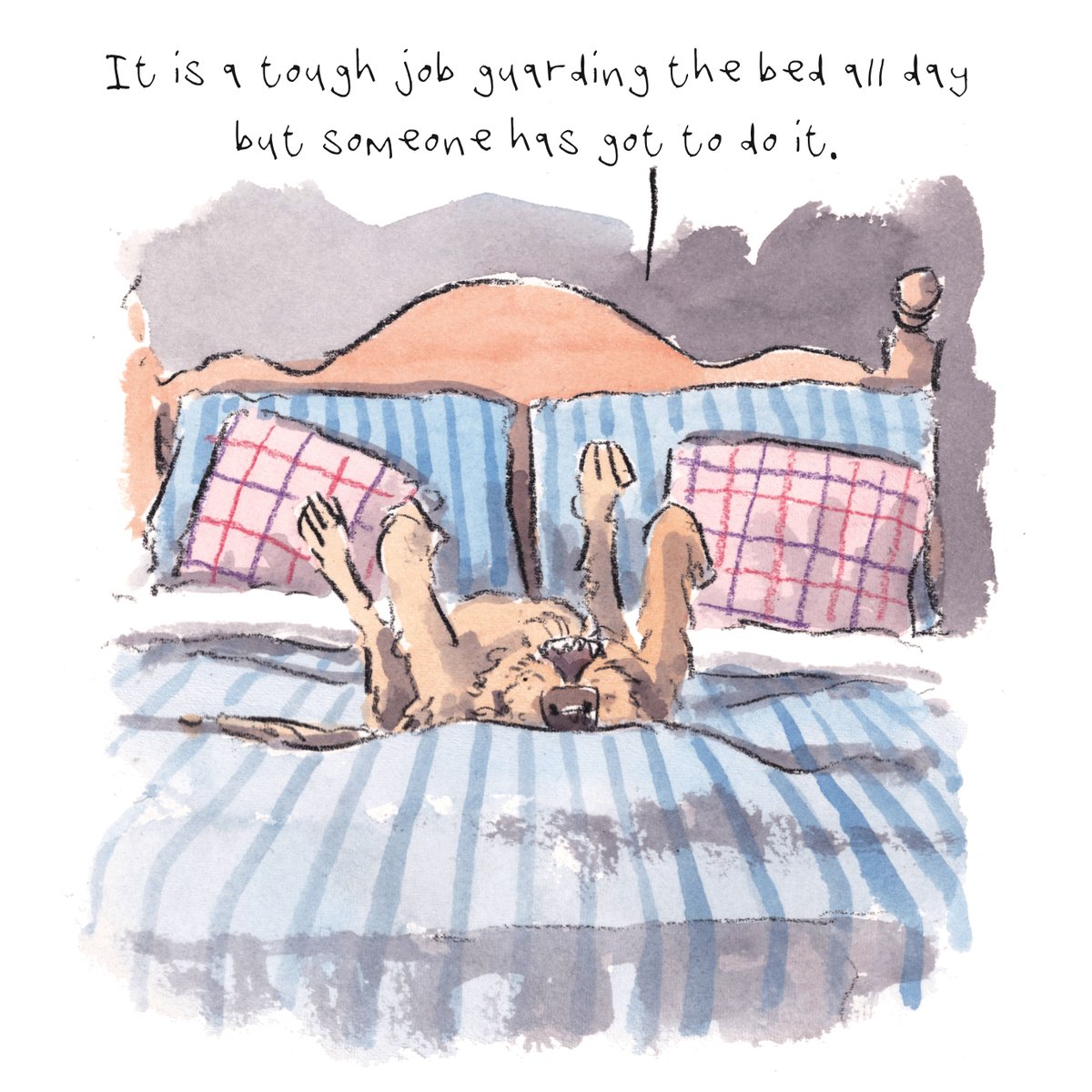 I hope that you are having a really fab day so far, lovely people and lovely dogs.
It is a tough job guarding the bed all day. 
I'm wishing you the very best for the rest of your day. 
#hoorayfordogs #toughjob
