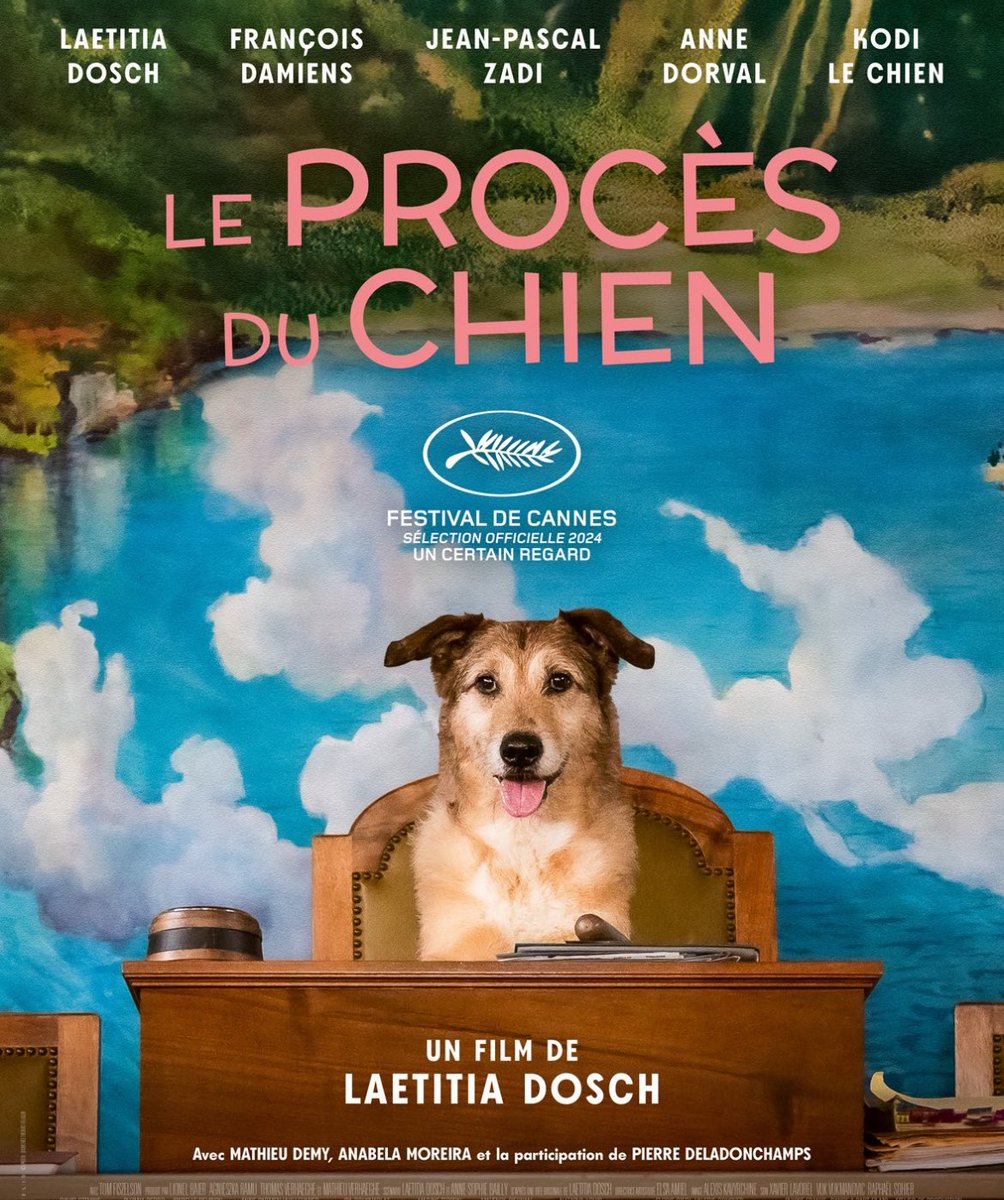 #Cannes2024 @PalmDogAwards #Kodi, Griffon croisé, qui joue dans 'Le Procès du chien' de la franco-suisse Laetitia #Dosch, a reçu vendredi la #PalmDog, qui récompense le chien avec le plus de mordant vu dans les films au Festival de Cannes #AFP