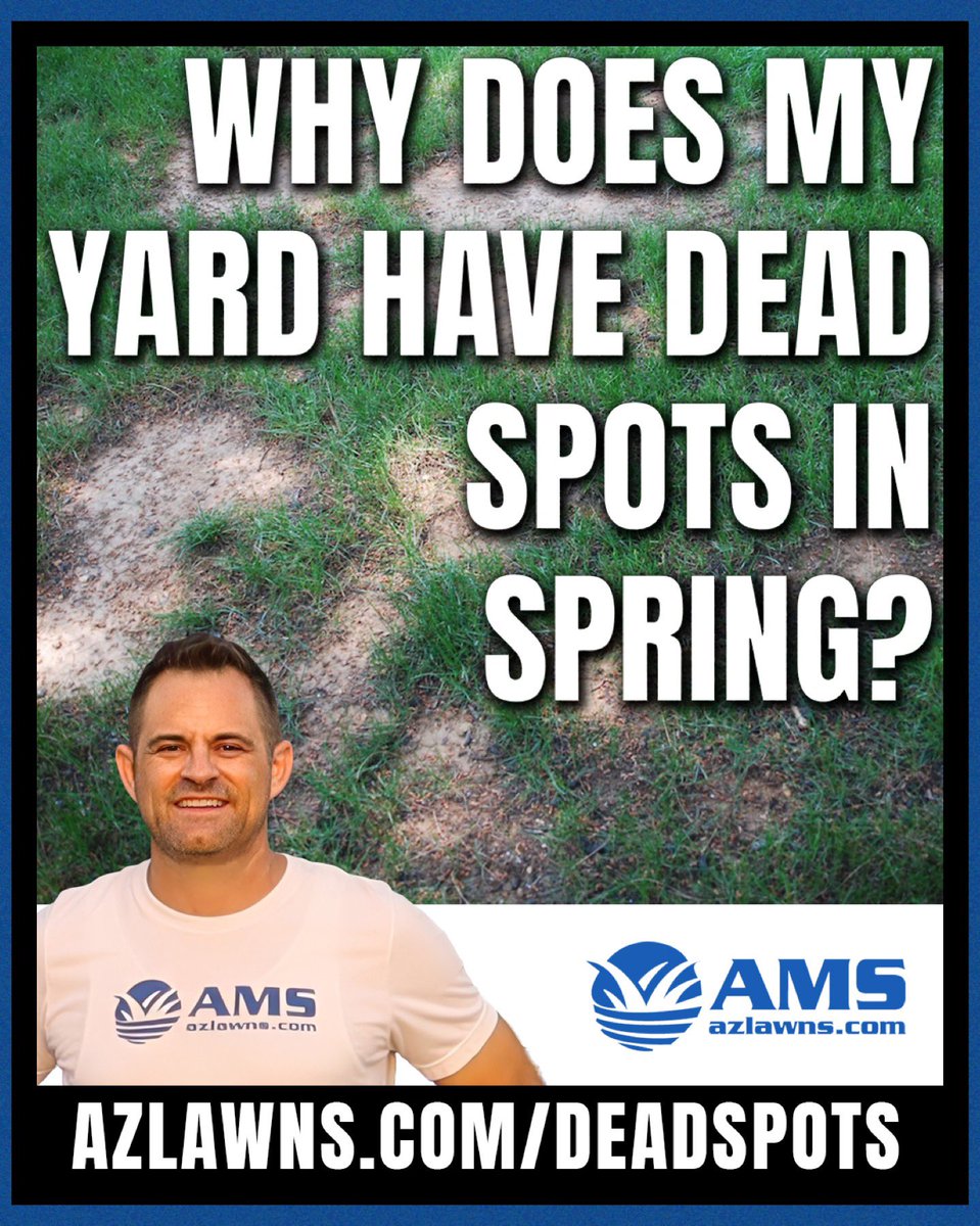 Why Does My Yard Have Dead Spots in Spring?
.
Does your bermuda grass have dead spots?  This video blog explains what causes that.  
.
azlawns.com/deadspots 
.
#KeepingYardsEnjoyable #azlawns #amslandscaping #lawncare #azfamily #azcentral #abc15 #fox10phoenix #12newsaz