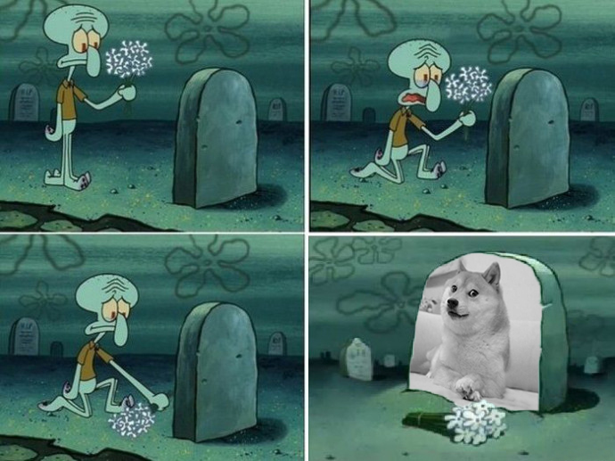 shiba kabochan (@kabachansol) on Twitter photo 