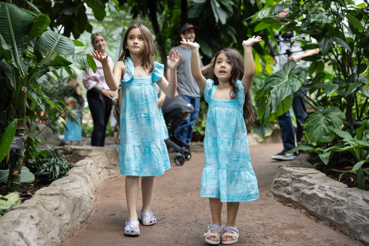 Make it a Museum Monday! 🦋🐬🦖🌍🔬 Grab the fam and spend your Memorial Day weekend here in HMNS. We're open from 9am - 6pm. See you soon! 📷© HMNS | Mike Rathke #houston #museum #hmns #weekend #MemorialDay