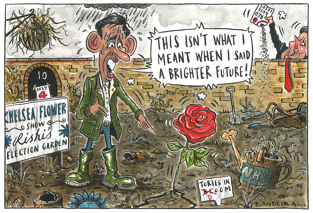 Graeme Bandeira: FLOWER POWER! It's rosy in the garden but not for Rishi! #RishiSunak #KeirStarmer - political cartoon gallery in London original-political-cartoon.com