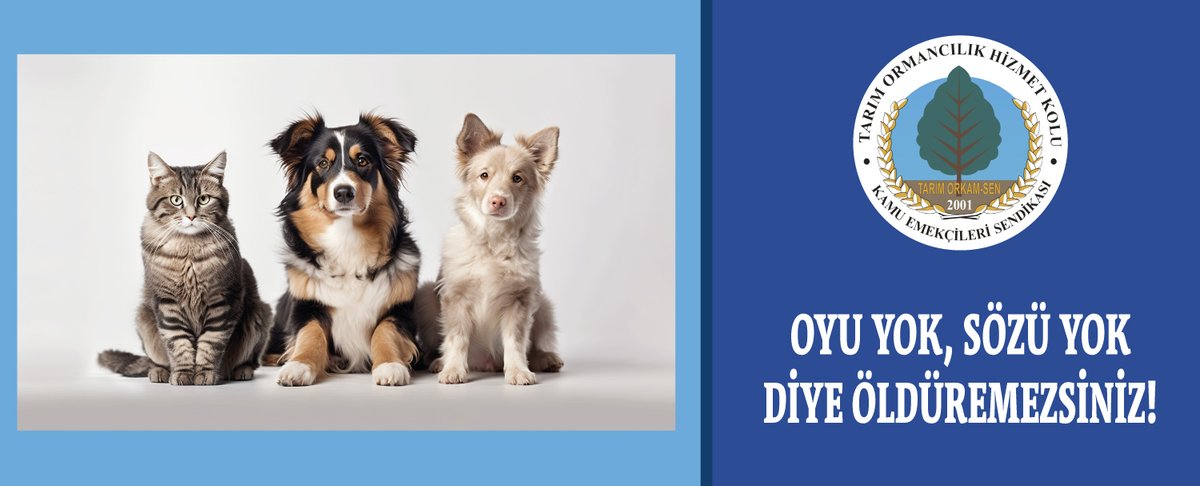 BASINA VE KAMUOYUNA;
OYU YOK, SÖZÜ YOK DİYE ÖLDÜREMEZSİNİZ!
Sayın basın mensupları, geçtiğimiz günlerde sokak hayvanları ile ilgili bir yasa tasarısı gündeme geldi. “Yönetemeyenlerin klasiği çözemedikleri sorunları kestirip atarlar”. Yine bir klasik çözümle karşı karşıyayız.