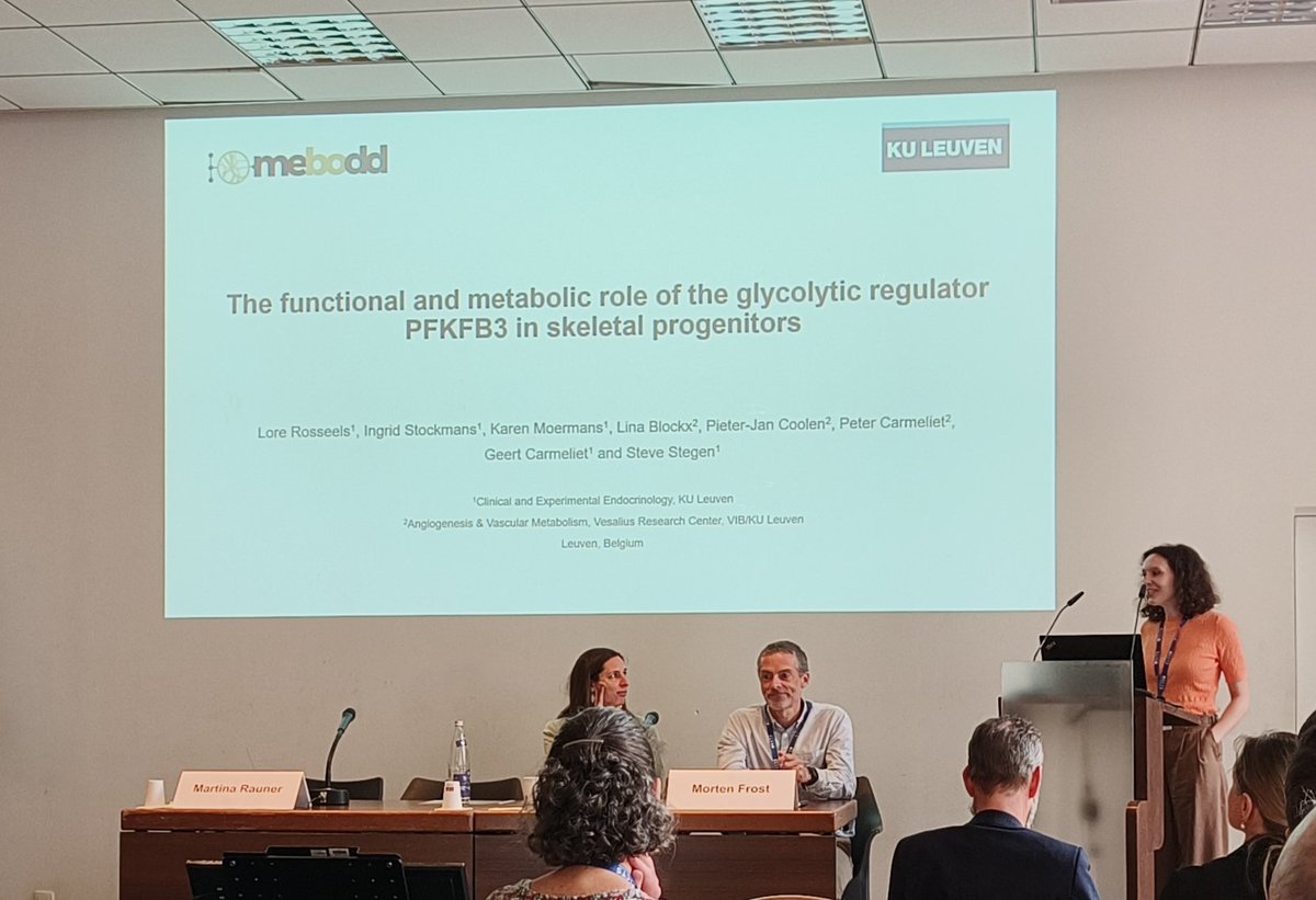First conference, first presentation! Stellar performance by Lore Rosseels, discussing the role of the glycolytic regulator PFKFB3 during #bone development and #metabolism! #proudPI #ects2024