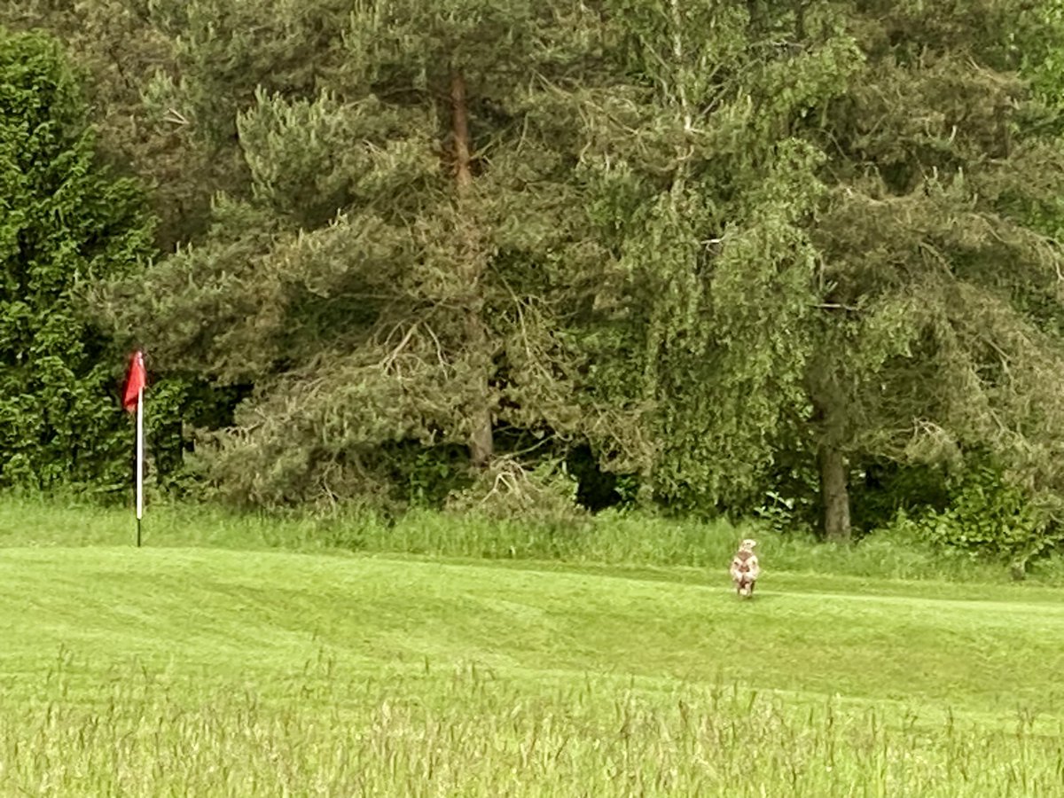 James Morgan tweet media