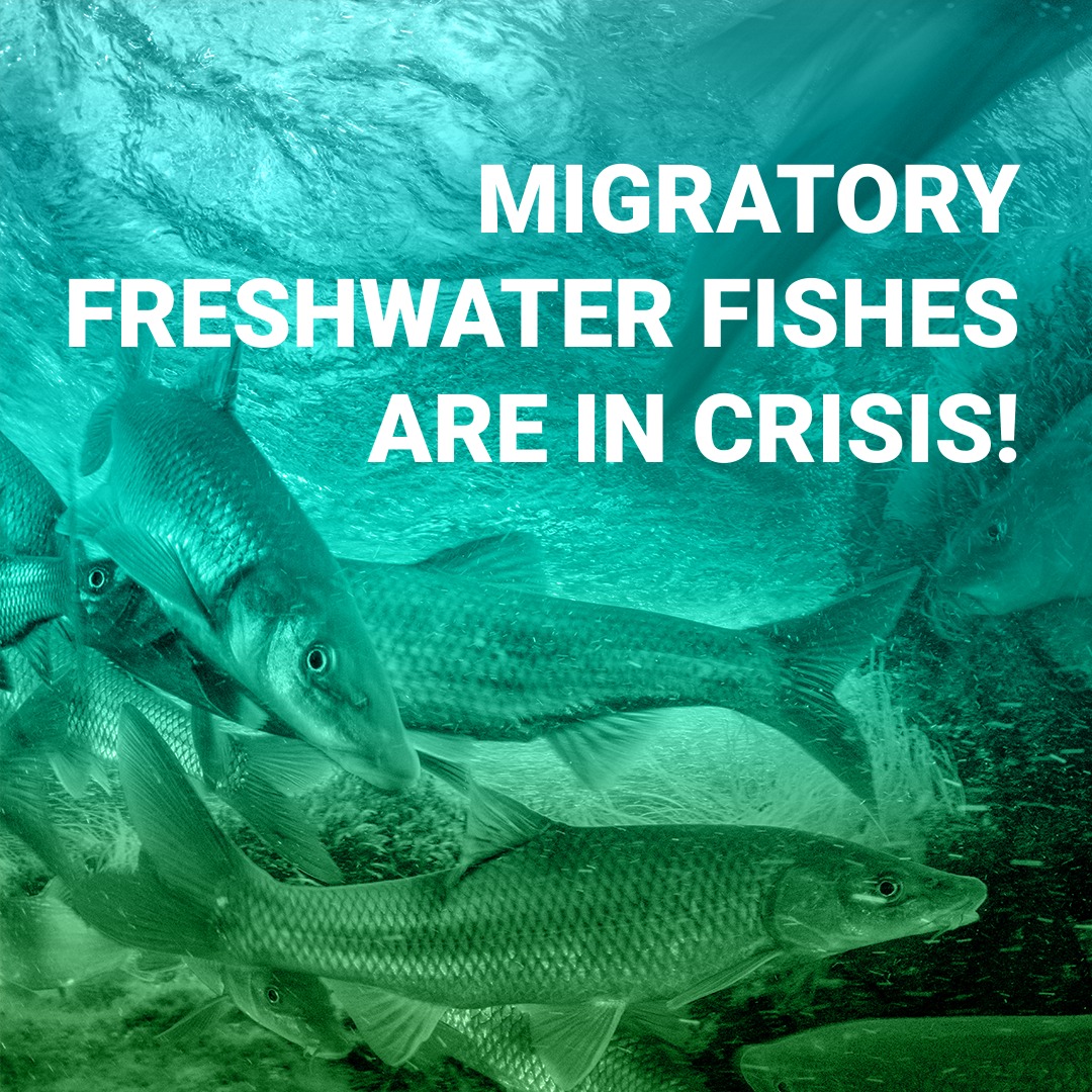 Our Nature USA tweet media