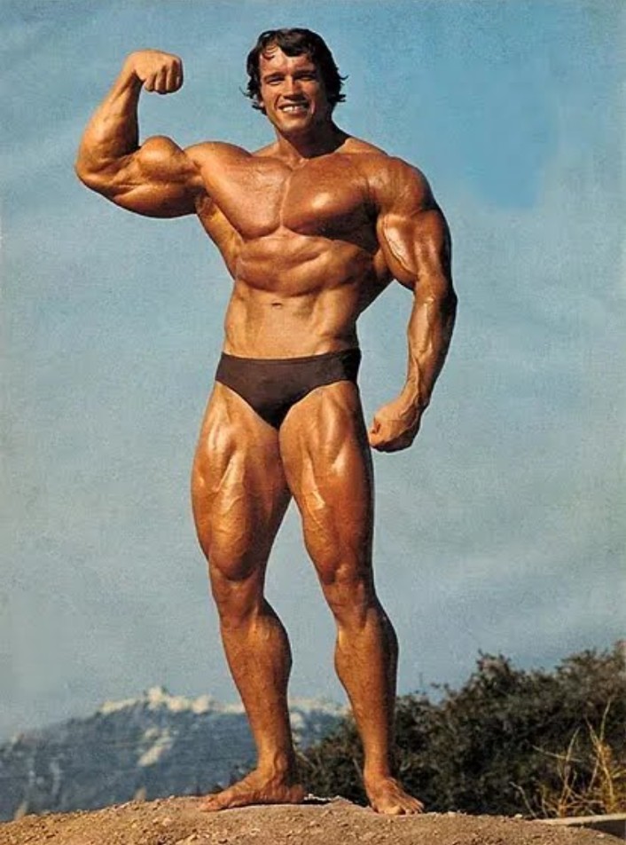 monto29026's tweet photo. "La fuerza no proviene de la capacidad corporal, sino de la voluntad del alma. #ArnoldSchwarzenegger #Motivación" https://t.co/0qWACluotR