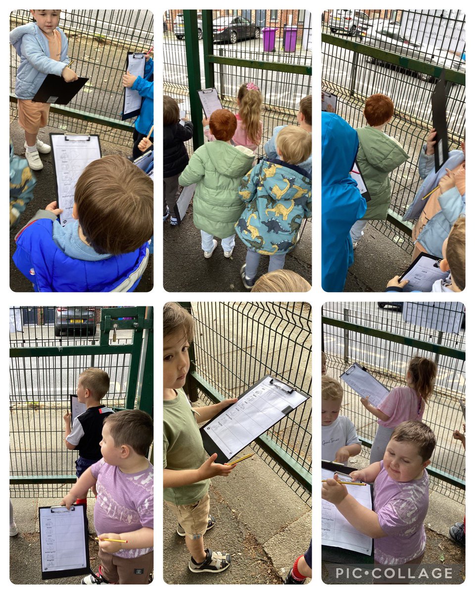 Butterfly Class tweet media