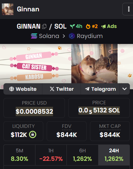 CryptoRugMunch's tweet photo. Let's take a look at $GINNAN.

First off, it's a token that originated on Pump dot fun.

🌟 1069% surge to $724.7K MC in 6 hrs 44 mins
🌊 $5.19M 24h volume
🚀 $1.52M ATH (24x from launch)
💰 14% liquidity
👥 2K holders, top 10 own 15.79%

Several of these top holders have been selling large amounts without any corresponding buys:

The #1 "maker" wallet GinY...4tBE sold $14K worth with $0 in buys.

The #2 maker Cnaw...aVL6 sold $12K with $0 buys.

The #3 maker CDUA...FHRv, which is also the #8 top holder, sold $9K with $0 buys..

Ownership renounced, no mint/airdrops

$GINNAN is doing well today, but is the hype sustainable? 🤔

Def DYOR on the team & community before jumping in! 

Even with just 15.79%, those top 10 wallets could significantly impact the price if they decide to sell more.

Some red flags to consider:

🚩 Sudden, massive price surge
🚩 Low liquidity relative to MC
🚩 Concentrated token holdings in top wallets
🚩 Insider selling activity

However, some positives:

✅ Ownership renounced
✅ No mint function
✅ No airdrops or block 0 snipes detected

As always, do your own thorough research before investing in any project, especially ones with parabolic growth. Assess the risk and only invest what you can afford to lose! 🙏

https://t.co/VcDLE3KHJU

#DYOR #Crypto  #Solana