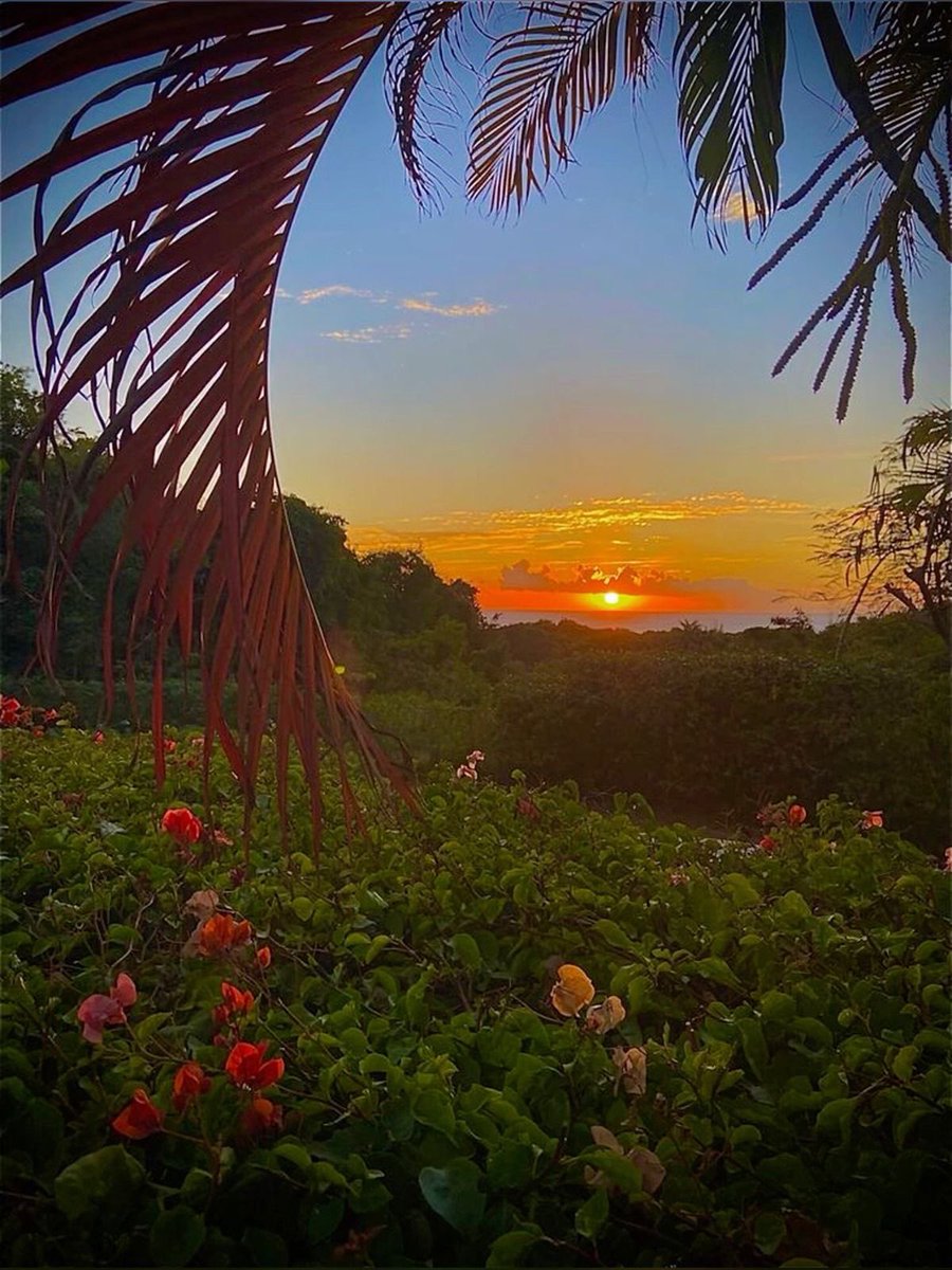 Bahamas sunset 🇧🇸