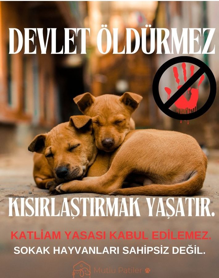 MEKTUP VE CİMER KAMPANYASI !!!!
#SokakHayvanlarıYalnızDeğildir 
<a href="/Byrk_1903/">ByYsmn</a> 
<a href="/dejaawuu/">Dejawuuuhuu</a> 
<a href="/KeltosSirin/">𝓚𝓮𝓵𝓽𝓸şŞ𝓲𝓻𝓲𝓷 ♫ ☁</a> 
@Siyaderr 
@Onur_Tuanam 
@helpfulerz 
<a href="/RTErdogan/">Recep Tayyip Erdoğan</a> <a href="/adalet_bakanlik/">T.C. Adalet Bakanlığı</a> 
<a href="/TCTarim/">T.C. Tarım ve Orman Bakanlığı</a>