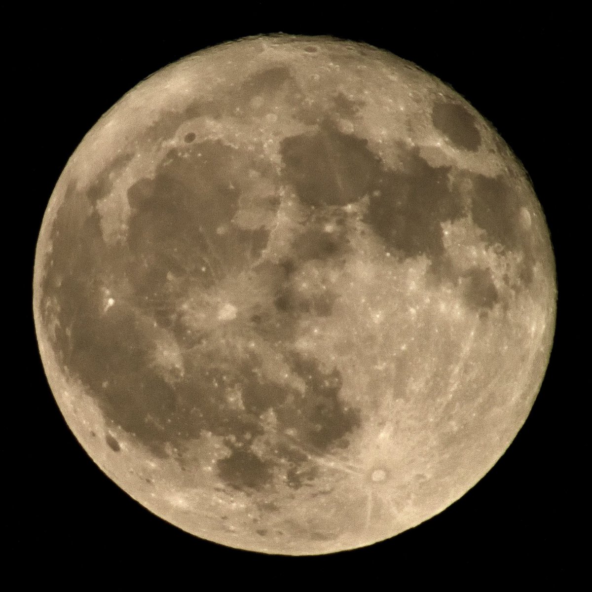 Like the Moon, I’ll be a different Version Tomorrow 🌚 Tonight’s sky presented this 99% moon. 05-23-2024 11:57PM in Kansas City. #moon #lunar #KansasCity #nikonD850 #600mmcfl #nikondslr #skytonight