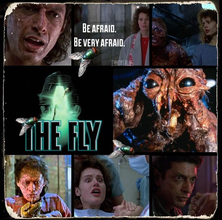 The Fly... Any fans? #Horrorfam