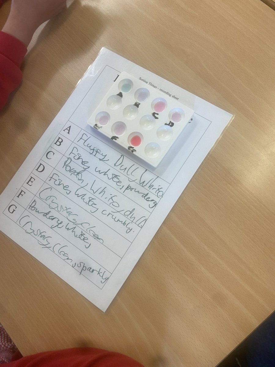 Southdown Primary School tweet media