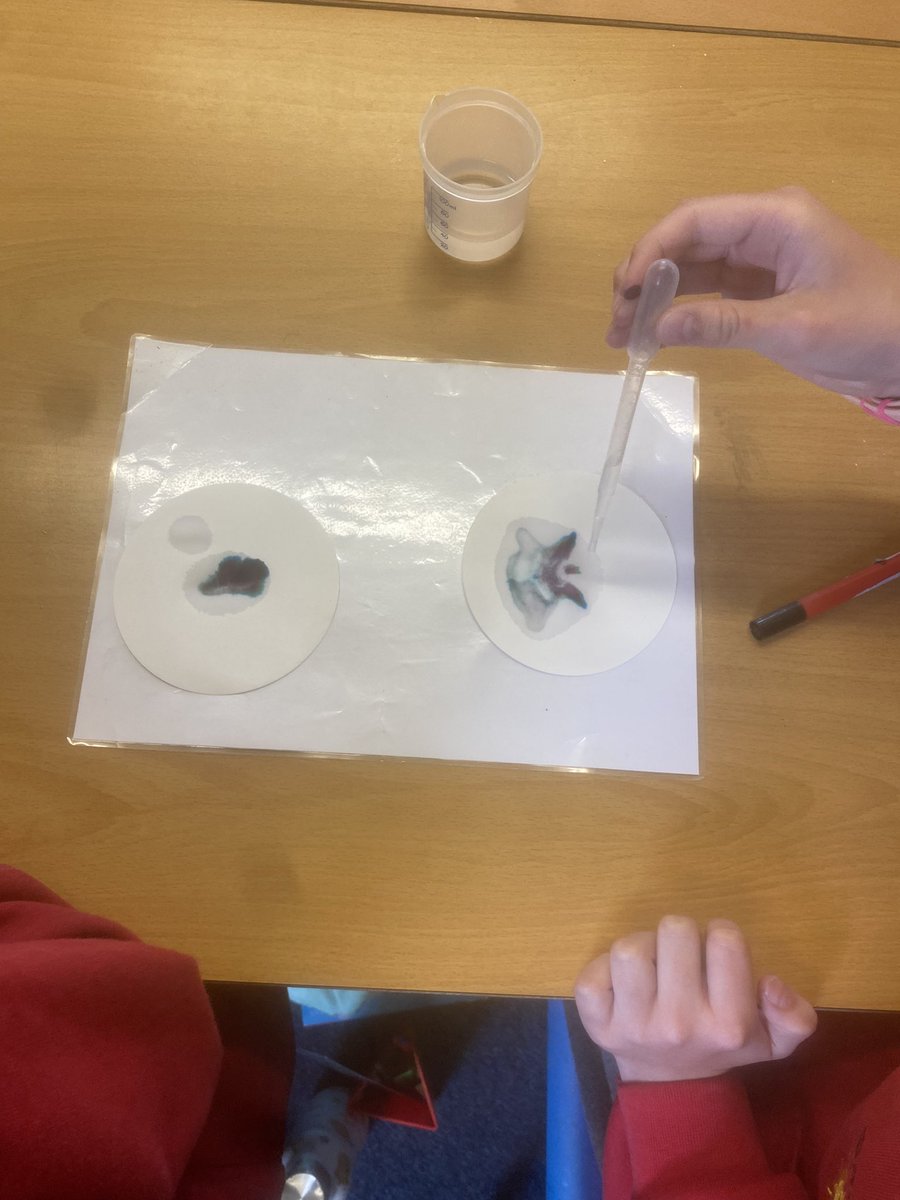 Southdown Primary School tweet media