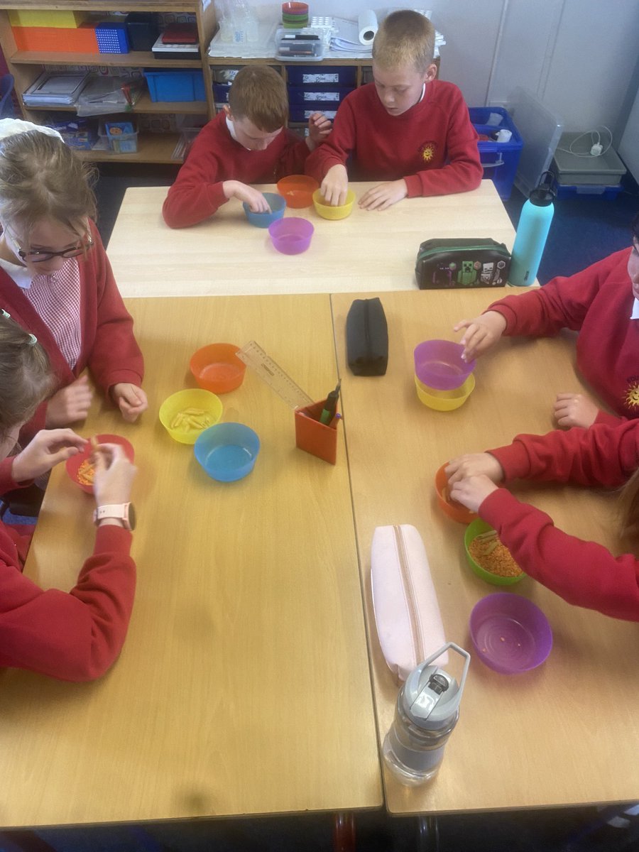 Southdown Primary School tweet media