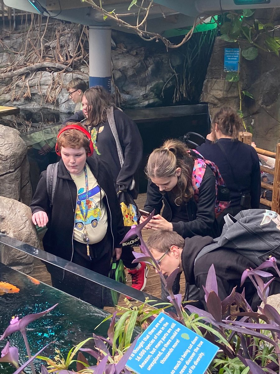 AsdBaseCHS's tweet photo. Students have been accessing the curriculum this term through the topic under the sea.
They visited Bristol Aquarium where they experienced a wide range of sea life and fed the fish! 
The students were incredibly engaged and communicated their interest in the sea 🌊 #notinmissout https://t.co/DRlMmLbjdq
