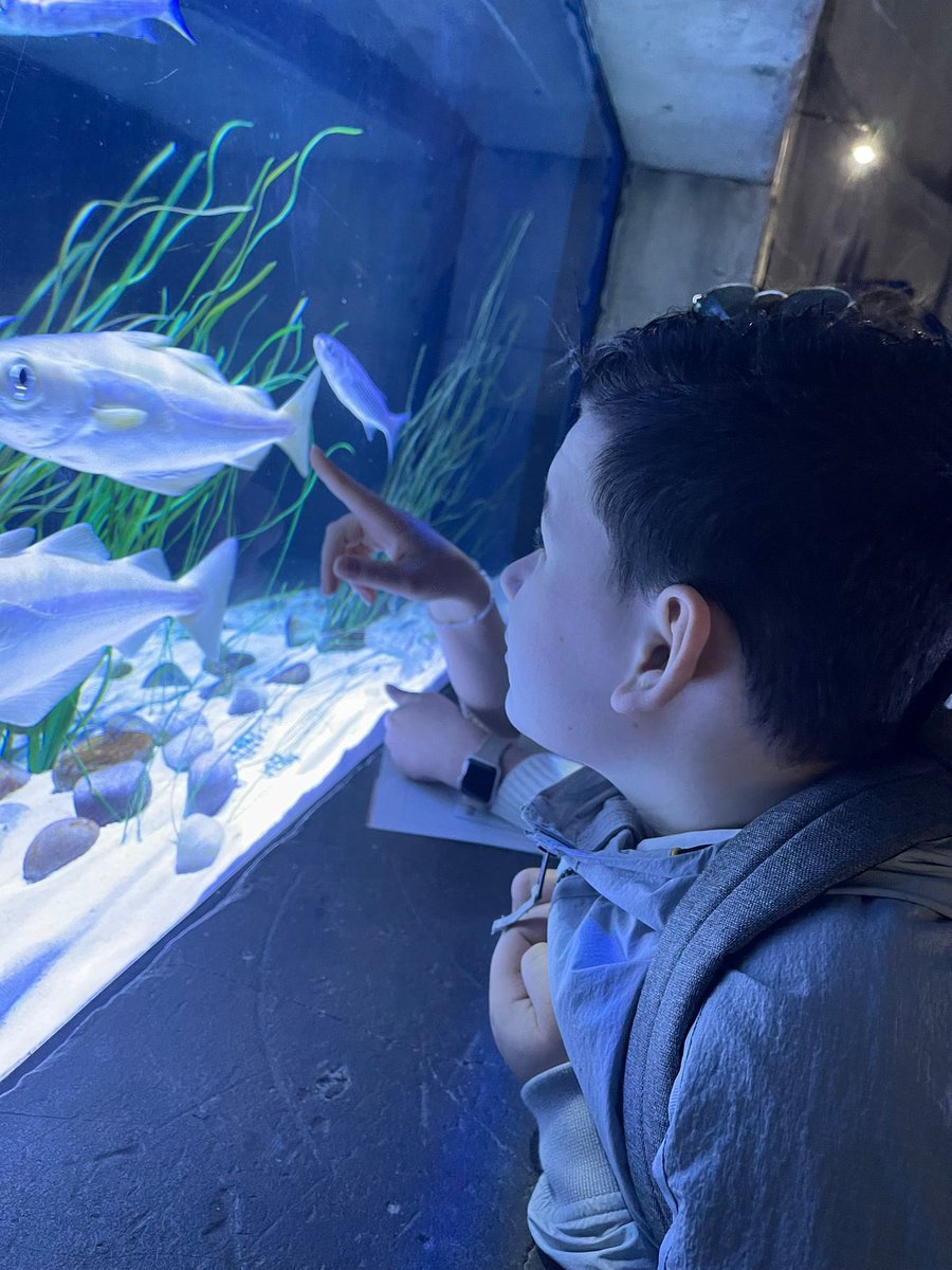 AsdBaseCHS's tweet photo. Students have been accessing the curriculum this term through the topic under the sea.
They visited Bristol Aquarium where they experienced a wide range of sea life and fed the fish! 
The students were incredibly engaged and communicated their interest in the sea 🌊 #notinmissout https://t.co/DRlMmLbjdq
