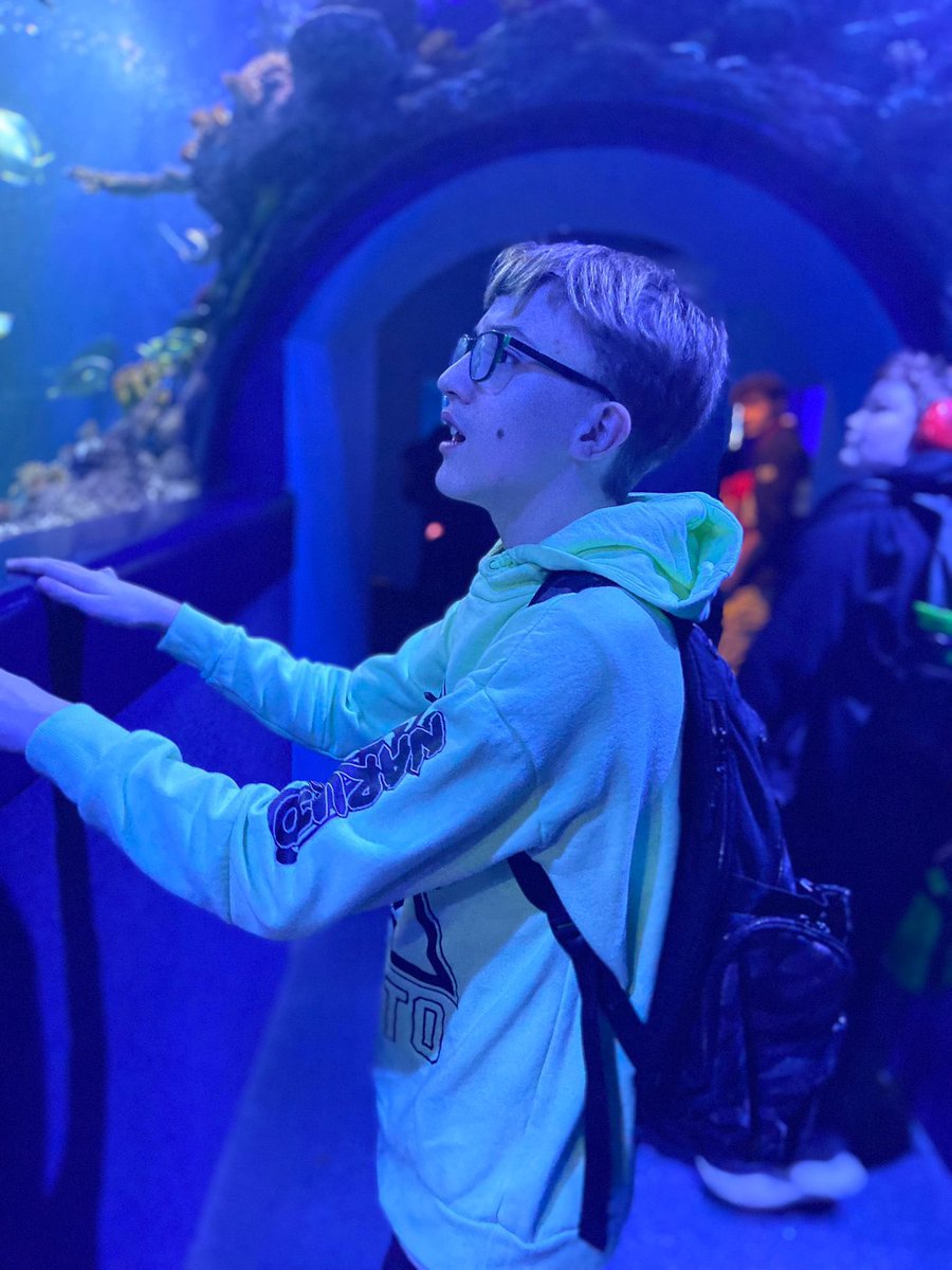Cwmbran High ASD Base (@asdbasechs) on Twitter photo Students have been accessing the curriculum this term through the topic under the sea.
They visited Bristol Aquarium where they experienced a wide range of sea life and fed the fish! 
The students were incredibly engaged and communicated their interest in the sea 🌊 #notinmissout Students have been accessing the curriculum this term through the topic under the sea.
They visited Bristol Aquarium where they experienced a wide range of sea life and fed the fish! 
The students were incredibly engaged and communicated their interest in the sea 🌊 #notinmissout