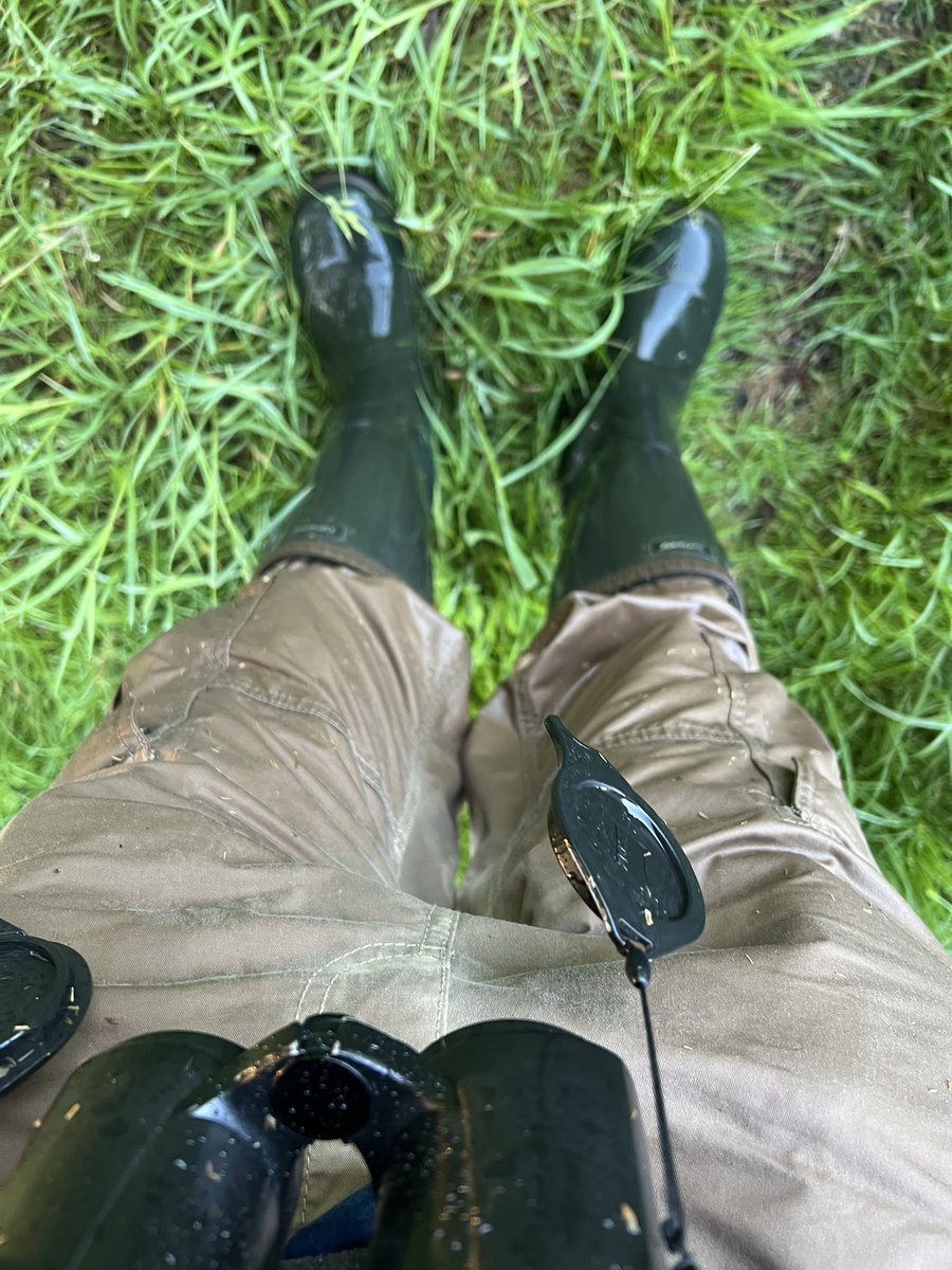 birdbrainuk's tweet photo. #fieldfail #ornithology er yes the wet grass was longer than wellies https://t.co/DUd6jDTDca