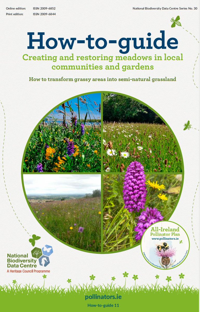 It's nearly the end of #NoMowMay But why not keep it going with #LetItBloomJune & #HelpThemFlyJuly? Reducing mowing throughout the summer is one of the best things you can do for pollinators Find out how to create native meadows with our free guide➡️ tinyurl.com/2xjdmwkt