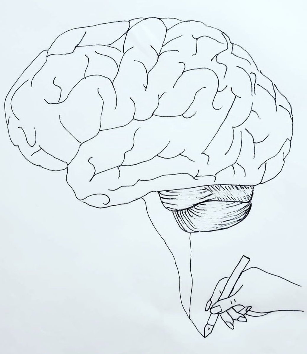 How to draw a brain