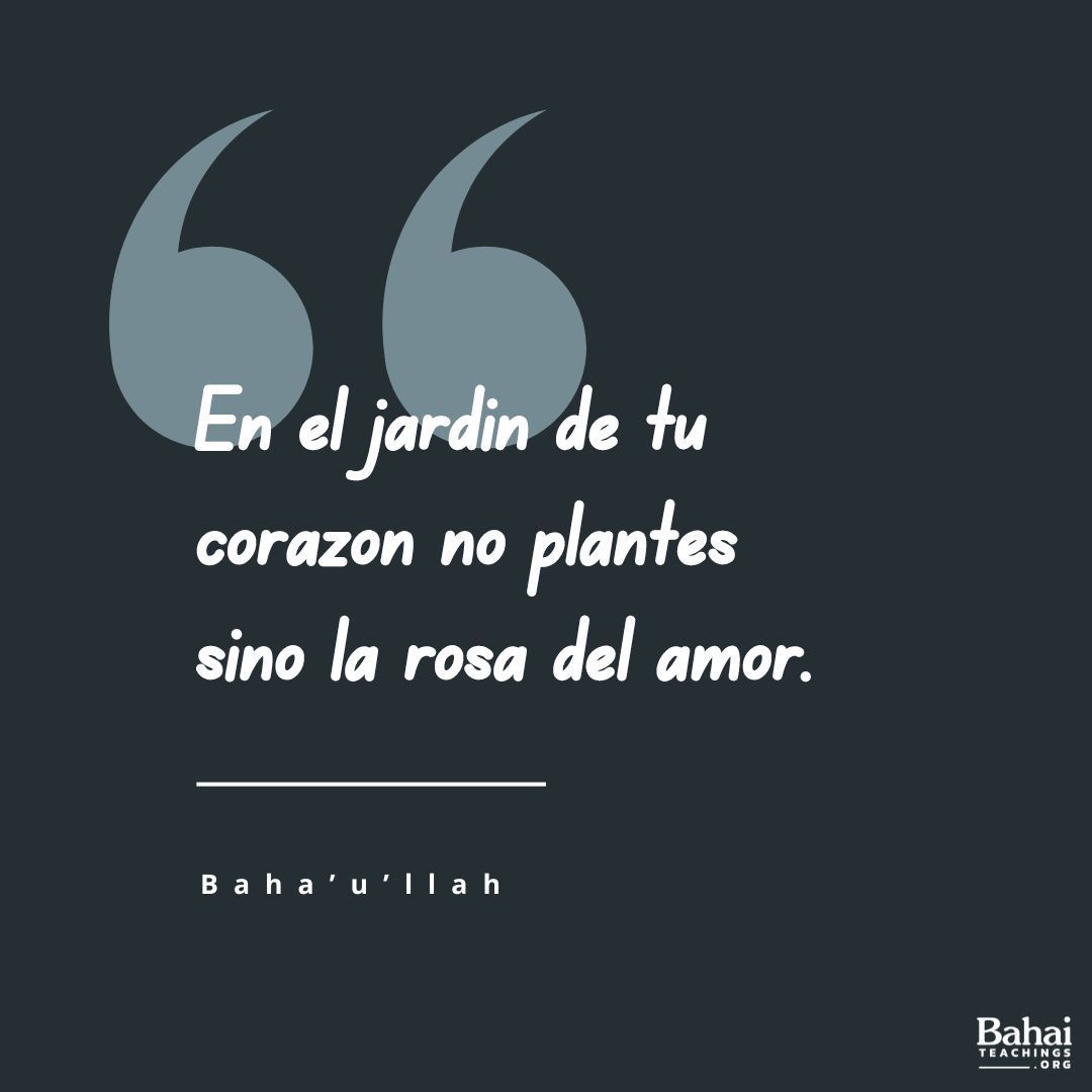 En el jardín de tu corazón no plantes sino la rosa del amor, y no te desligues del ruiseñor del afecto y del deseo. Atesora la compañía de los justos... - #Bahaullah⠀
⠀
#Bahai #Amor #Justicia #Espiritualidad