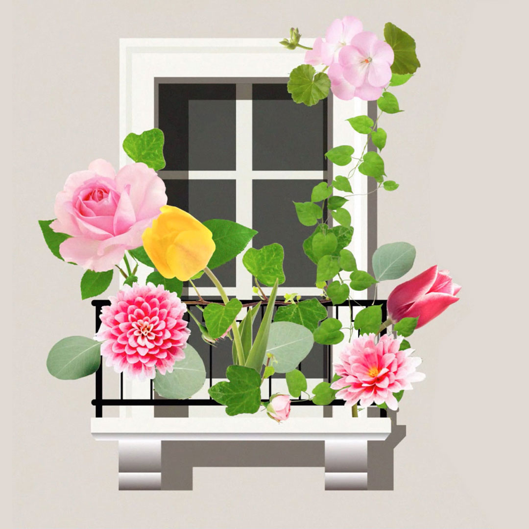 Chaource 💙🤍❤️ tweet media