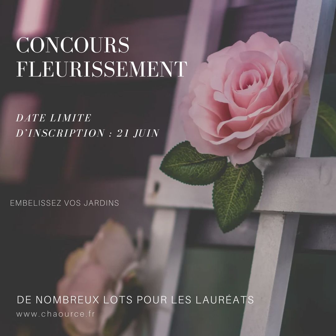 Chaource 💙🤍❤️ tweet media