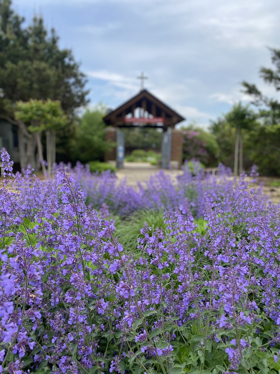 Conductor222's tweet photo. Scenes from our lovely Holy Innocents’ #Episcopal #Anglican Memorial #Garden #NJ #LBI #JerseyShore #DioNJ https://t.co/FsEjOAYOJH