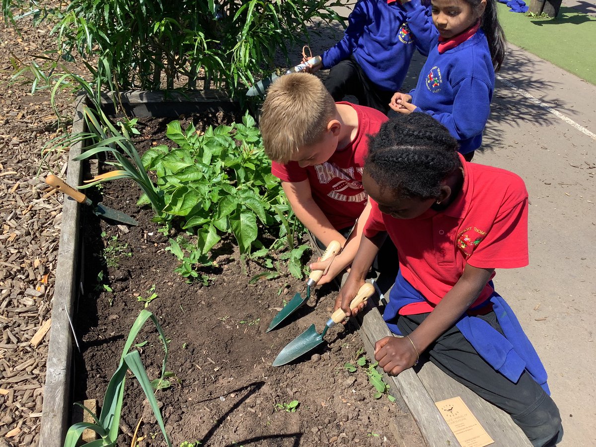 Looking after our edible playground 🌱 @HTPSchool #edibleplayground