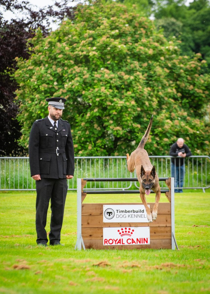 Really enjoyable couple of hours at the @PoliceDogTrials yesterday! Here’s some pics of PC McMaster and PD Amber from @PSOSDogs.