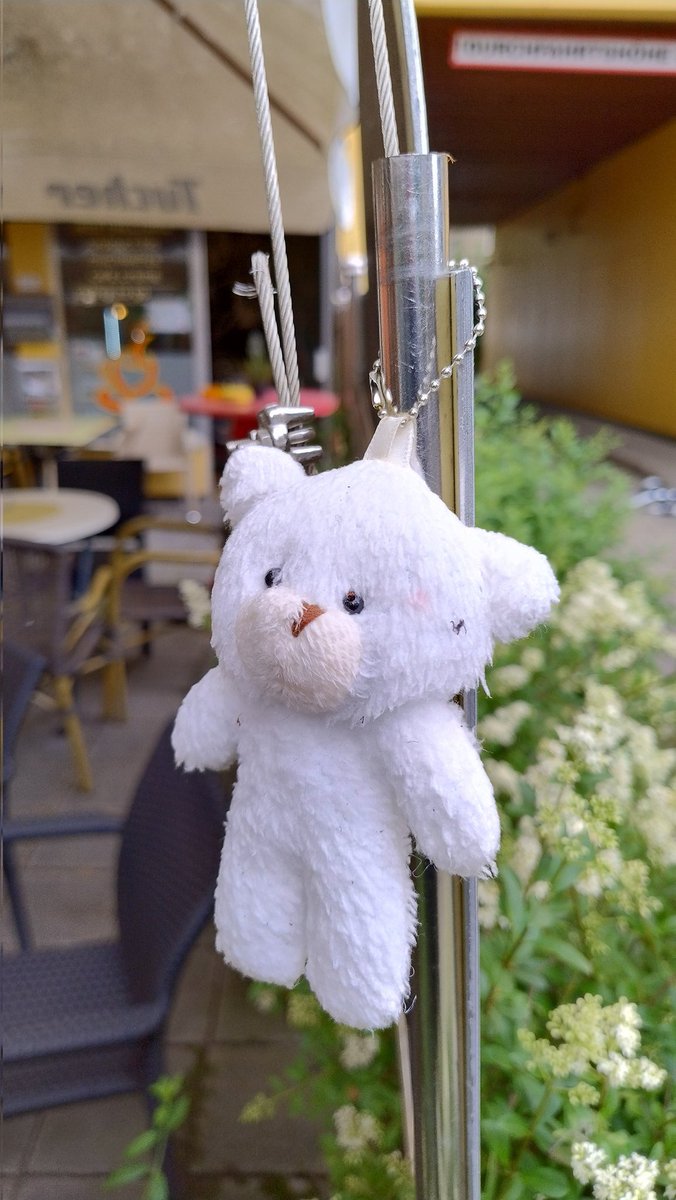 michinuernberg's tweet image. Follower-Power: Ein kleines weißes Bärchen sucht sein Kind und will wieder nach Hause...

Hängt am Café Bismarck in der Schoppershofstr., Nürnberg.
#plsRT