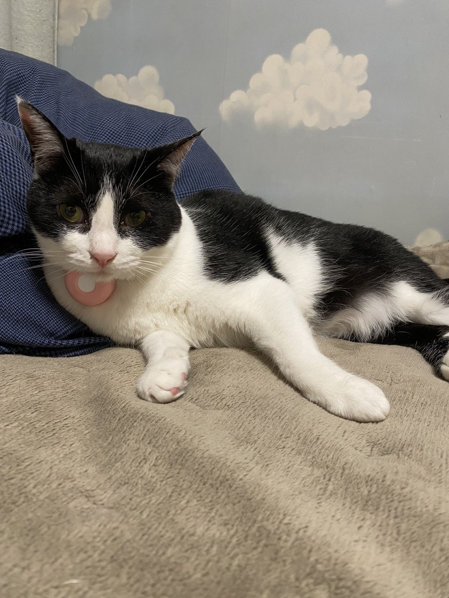 MEGU (@meggy0605) / Posts / X