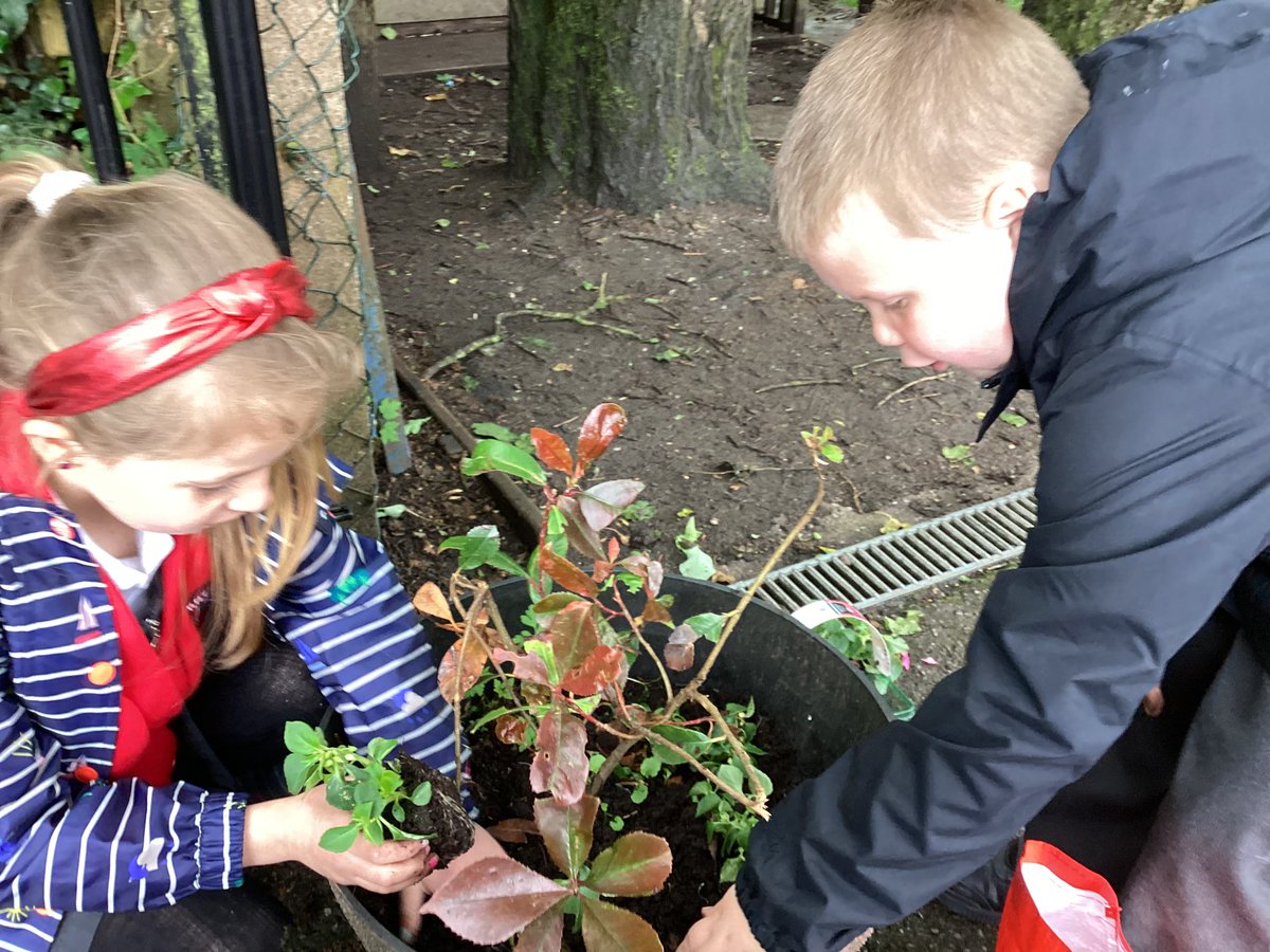 Knypersley First School tweet media