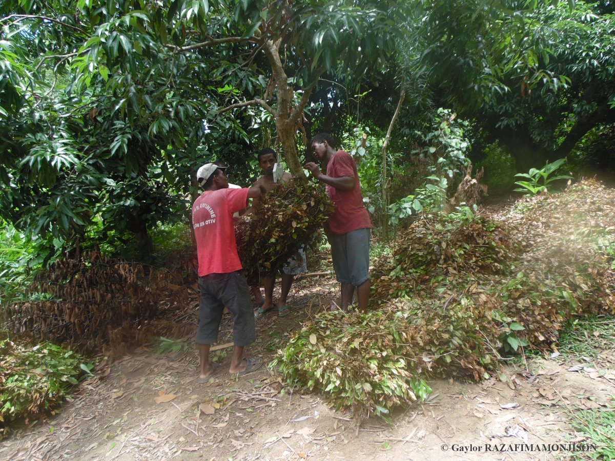 Projet MAKIS tweet media