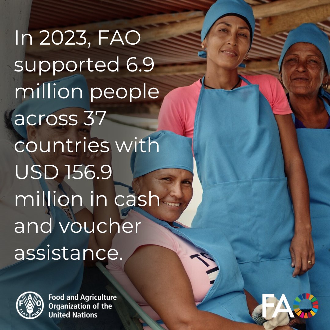 .@FAO’s cash and voucher programmes provide people with life-saving means to cope with crises, while protecting their livelihoods and strengthening their resilience to future shocks. More on FAO's cash and voucher assistance 👉 bit.ly/3UPlHnU #FoodSecurity