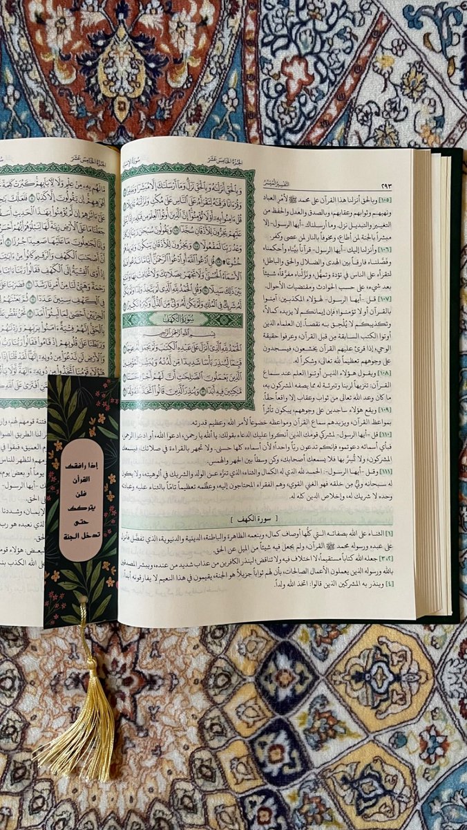 رابعة tweet media