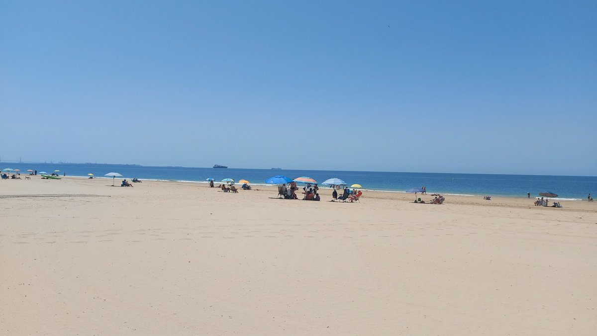 robert cleary tweet media