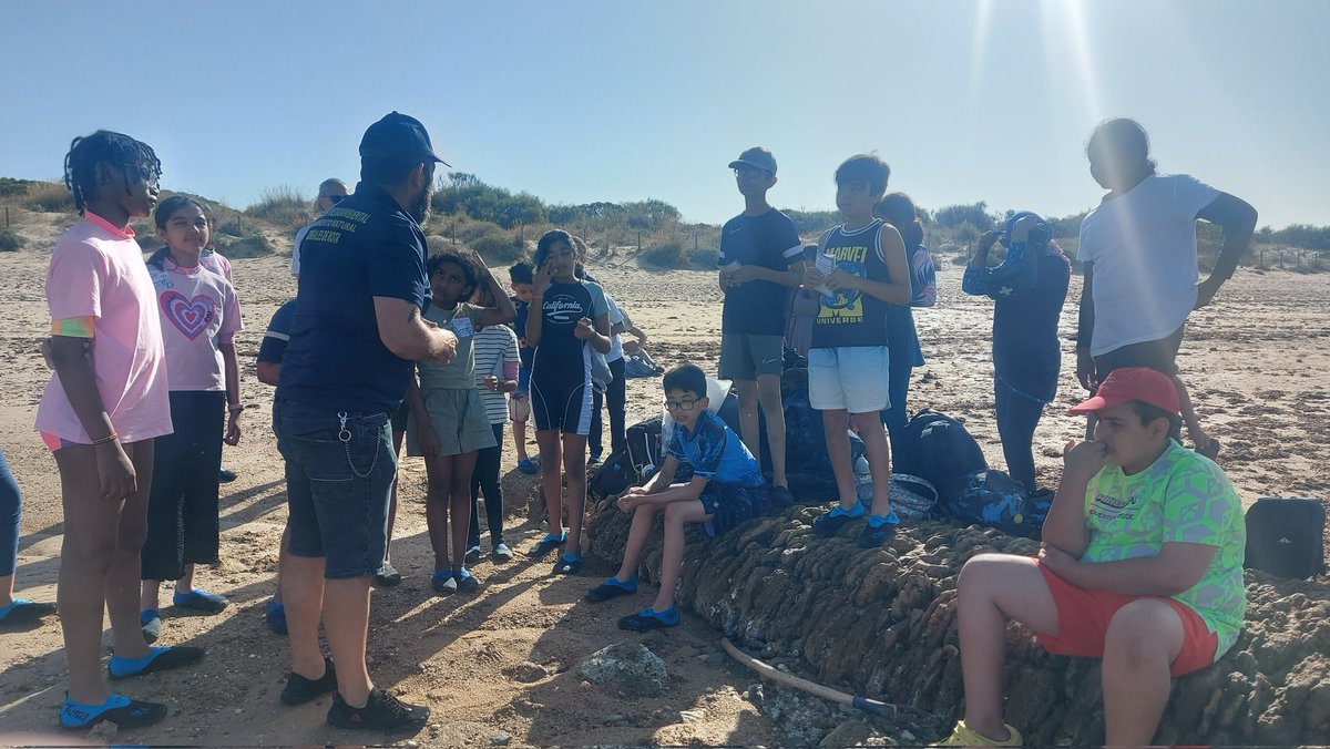 robert cleary tweet media