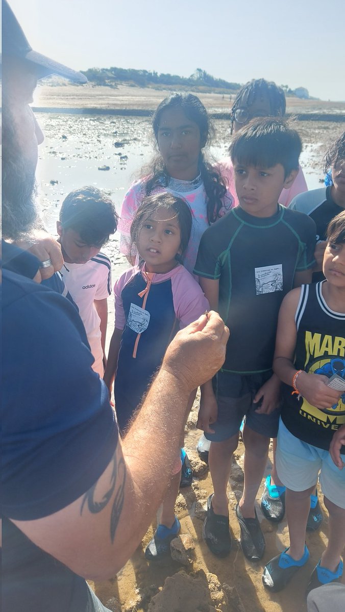 robert cleary tweet media