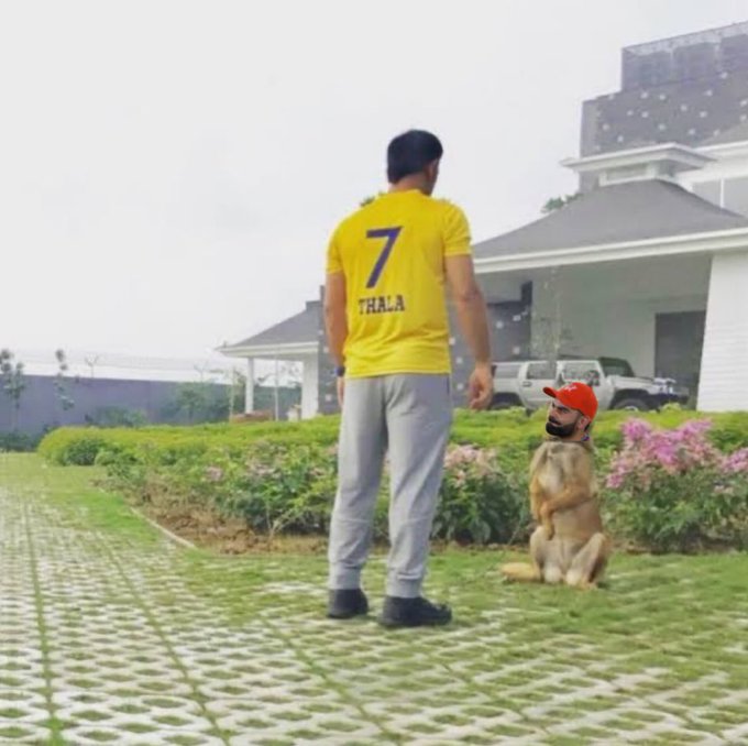 Doggy Chokli 🐕

KohliDogofDhoni
 CSK SLAVE KOHLI