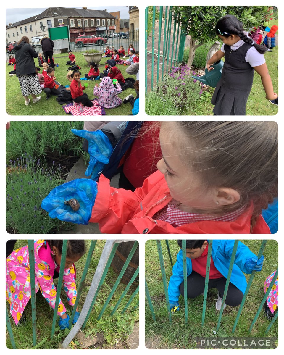 Year 2 had an amazing time weeding and watering at St Saviour's church yesterday.