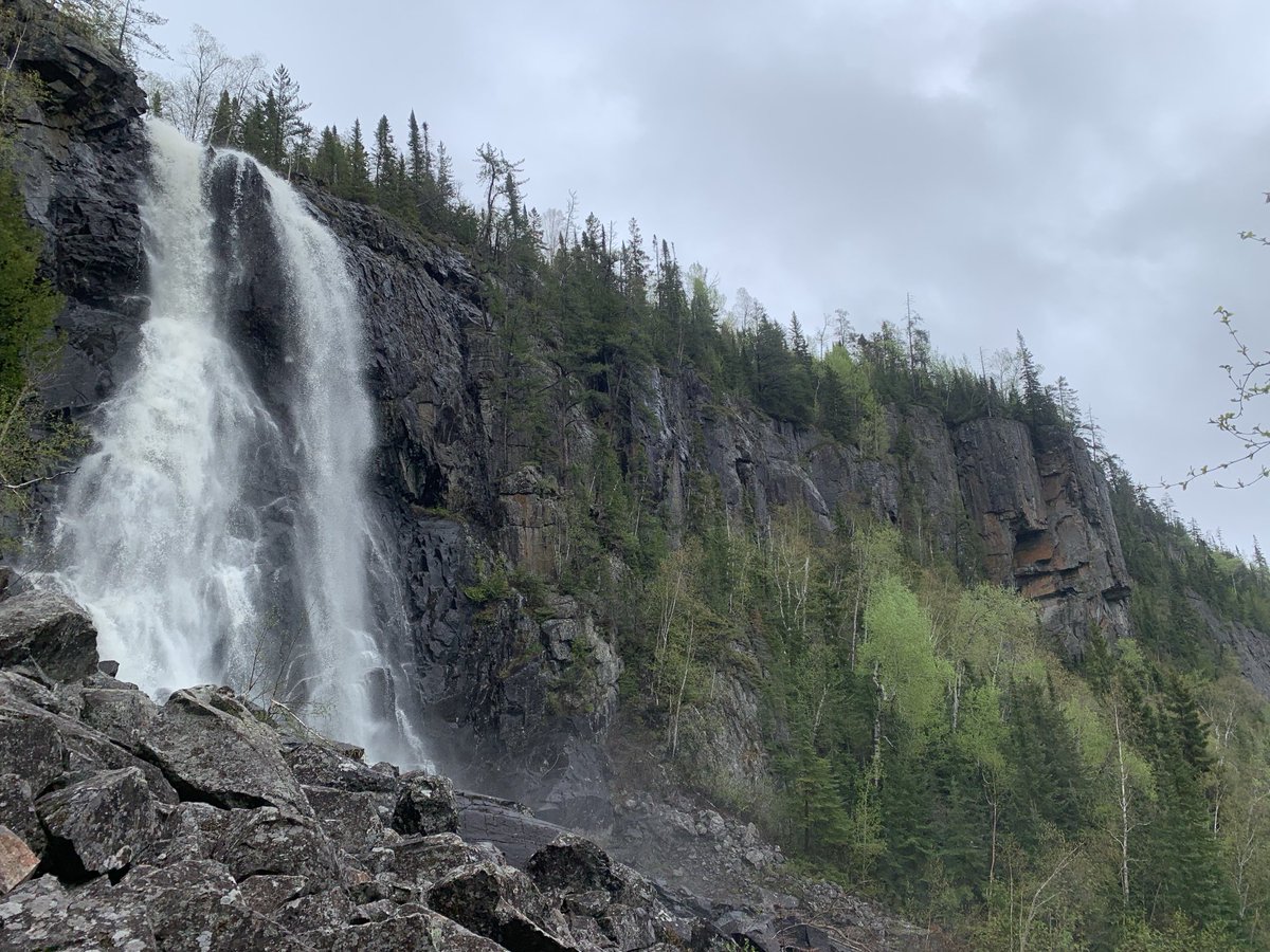 KPDSBMercer tweet media