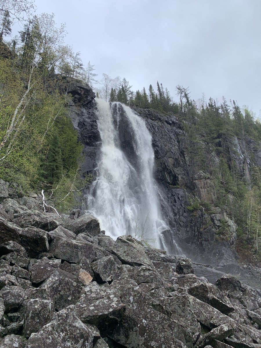 KPDSBMercer tweet media