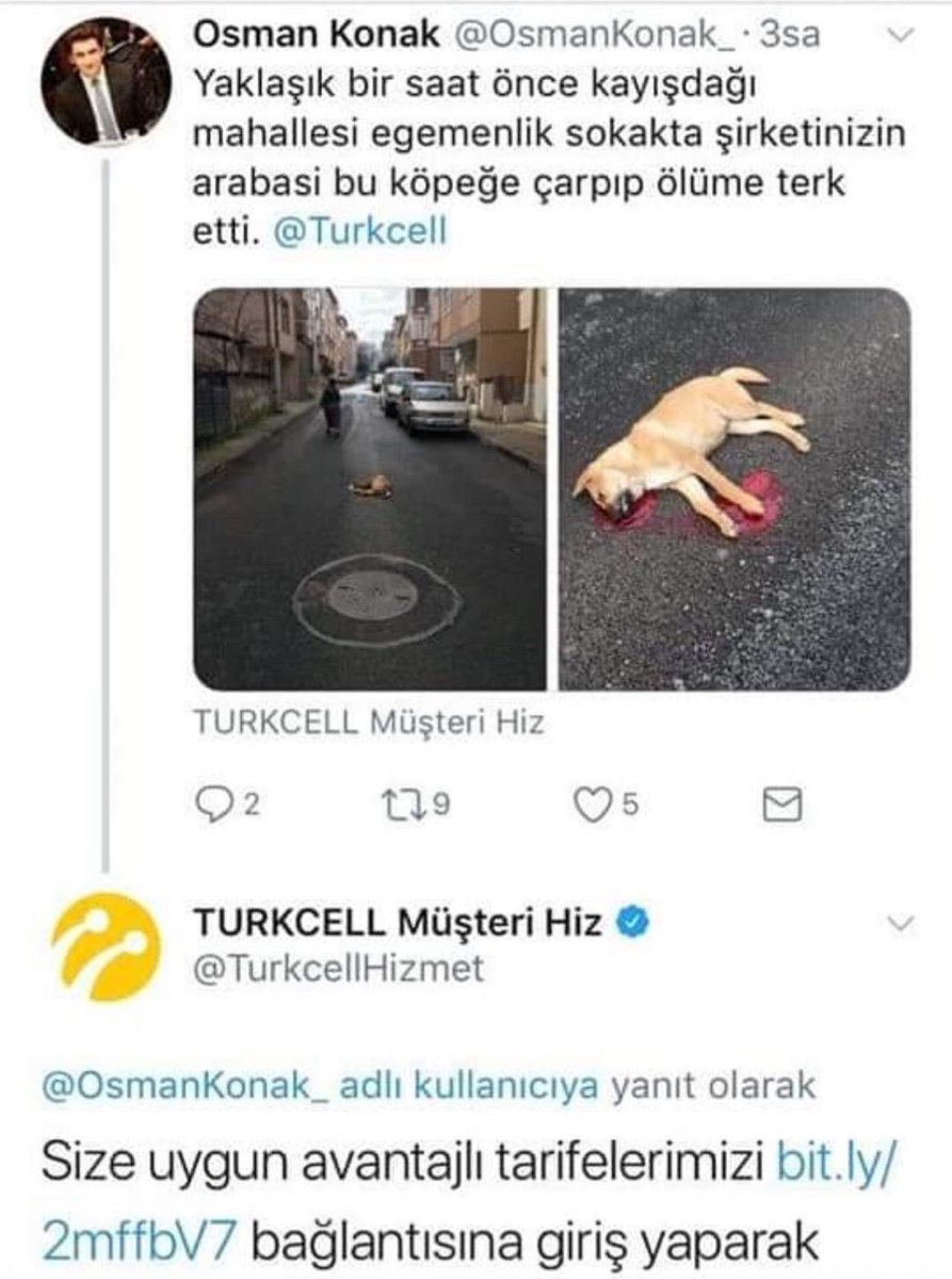 millihaberler_'s tweet photo. Son 1 haftadır biz https://t.co/EXo4IiMlUc