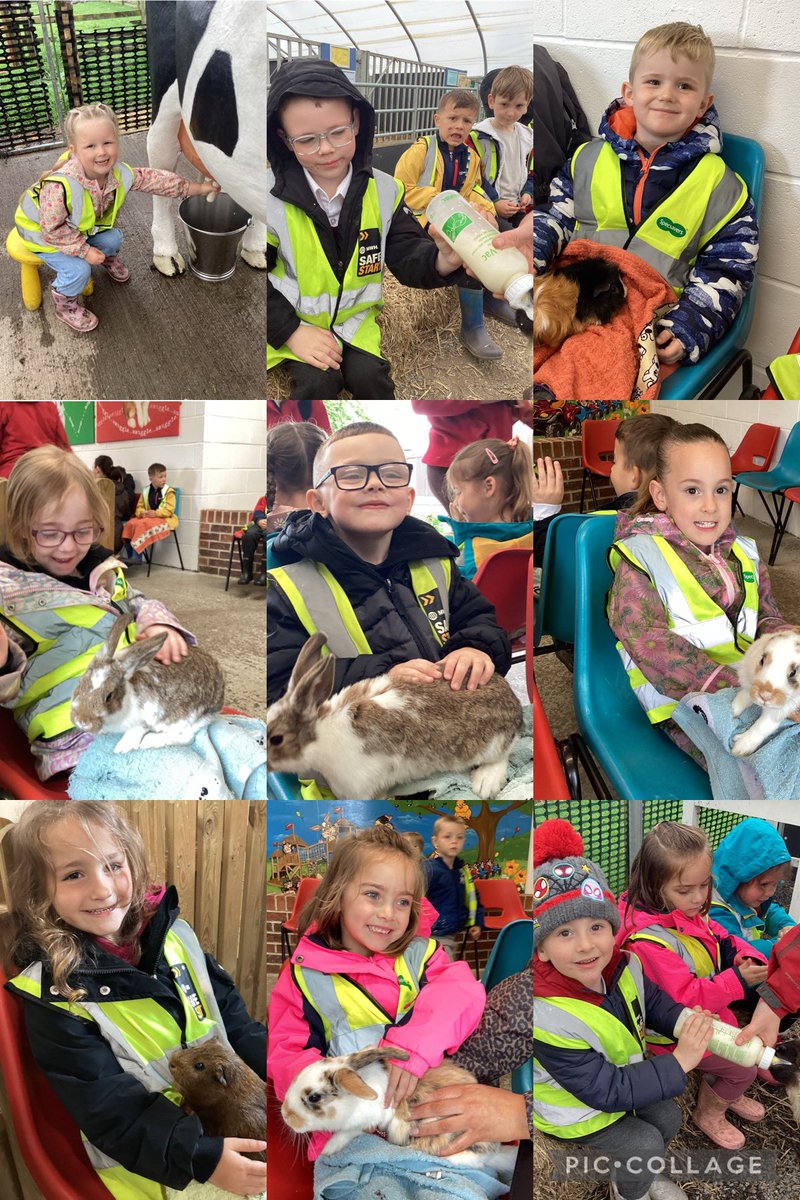 RTPS_EYFS tweet media